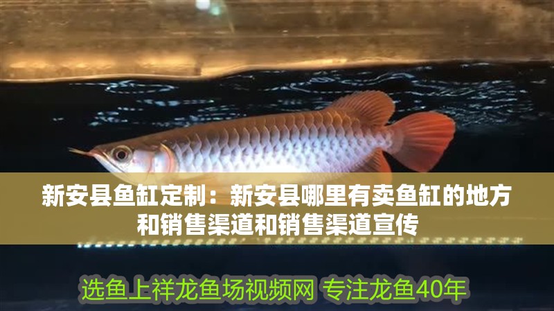 <strong><mark>新安</mark></strong>縣魚缸定制：<strong><mark>新安</mark></strong>縣哪里有賣魚缸的地方和銷售渠道和銷售渠道宣傳