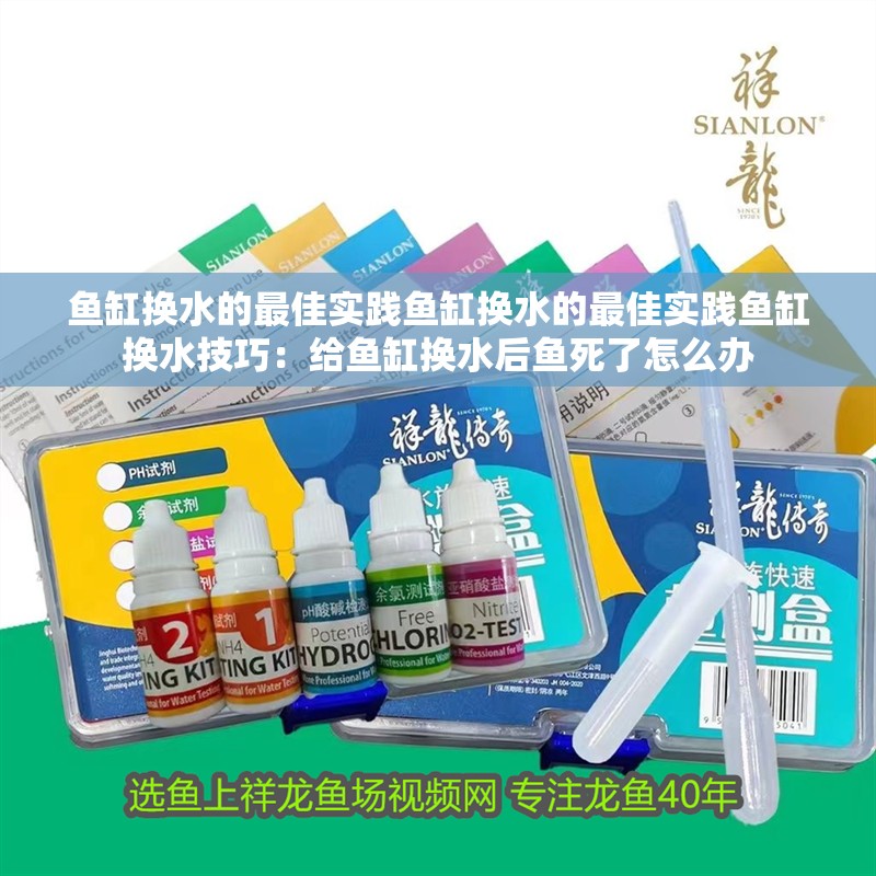 魚缸換水的最佳實(shí)踐魚缸換水的最佳實(shí)踐魚缸換水技巧：給魚缸換水后魚死了怎么辦