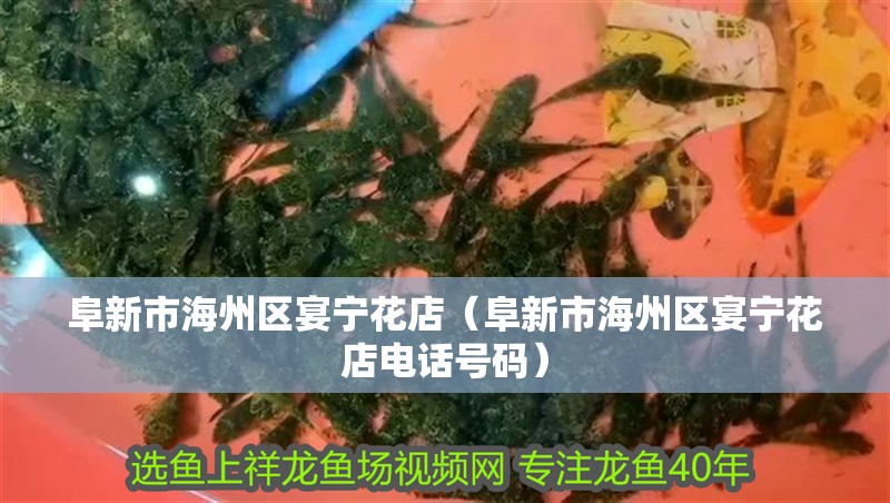 阜<strong><mark>新市</mark></strong>海州區(qū)宴寧花店（阜<strong><mark>新市</mark></strong>海州區(qū)宴寧花店電話號碼）