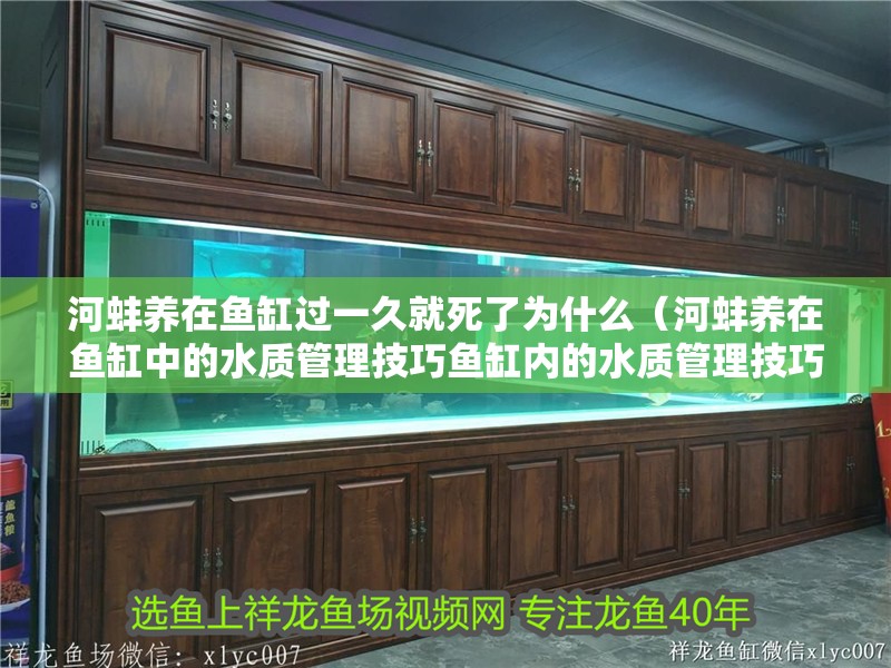 河蚌養(yǎng)在魚缸過一久就死了為什么（河蚌養(yǎng)在魚缸中的水質(zhì)管理技巧魚缸內(nèi)的水質(zhì)管理技巧）