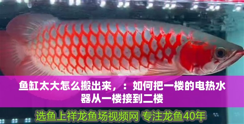 魚缸太大怎么搬出來，：如何把一樓的電熱水器從一樓接到二樓