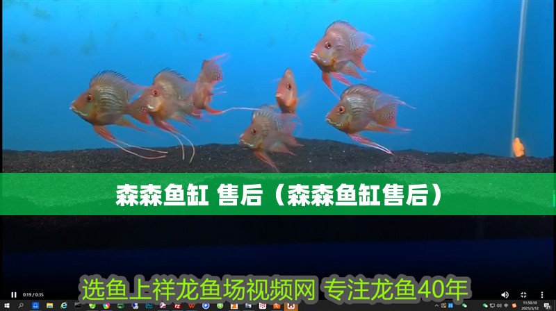 森森魚缸 售后（森森魚缸售后）