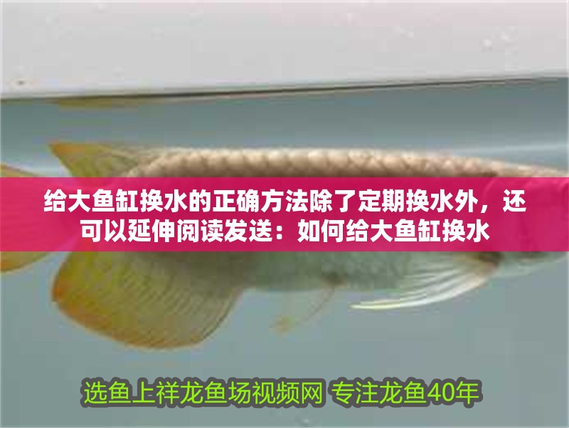 給大魚缸換水的正確方法除了定期換水外，還可以延伸閱讀發(fā)送：如何給大魚缸換水