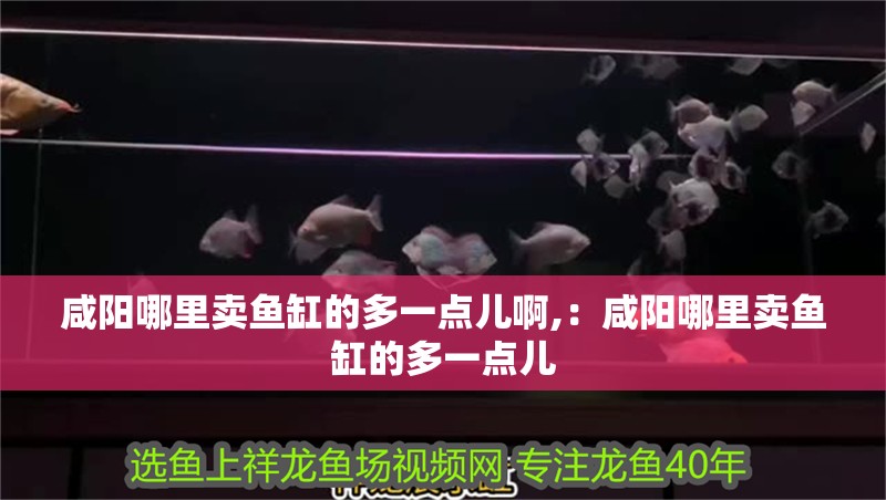 咸陽哪里賣魚缸的多一點(diǎn)兒啊,：咸陽哪里賣魚缸的多一點(diǎn)兒