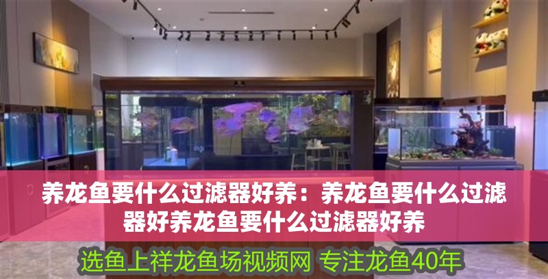 養龍魚要什么過濾器好養：養龍魚要什么過濾器好養龍魚要什么過濾器好養