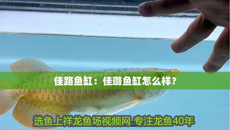 佳路魚缸：佳璐魚缸怎么樣？