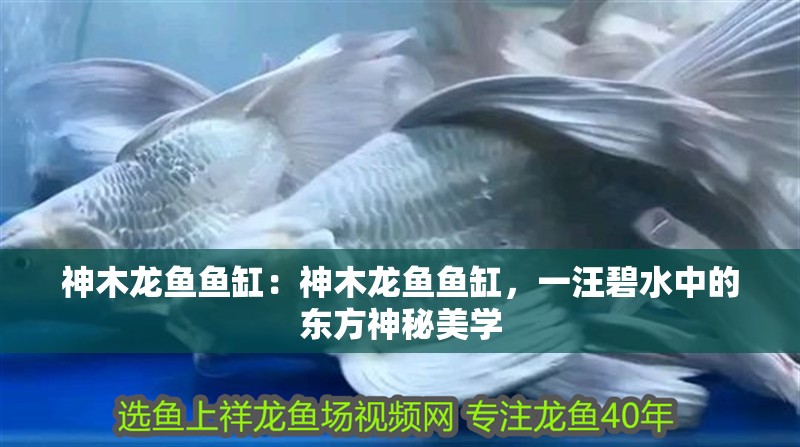 <strong><mark>神木</mark></strong>龍魚魚缸：<strong><mark>神木</mark></strong>龍魚魚缸，一汪碧水中的東方神秘美學