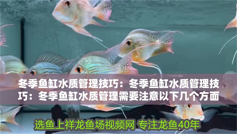 冬季魚缸水質管理技巧：冬季魚缸水質管理技巧：冬季魚缸水質管理需要注意以下幾個方面