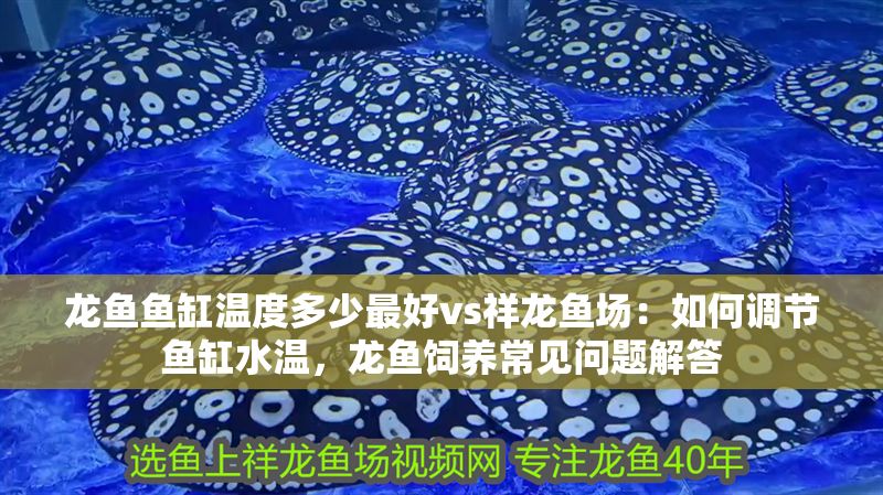 龍魚魚缸溫度多少最好vs祥龍魚場：如何調節魚缸水溫，龍魚飼養常見問題解答