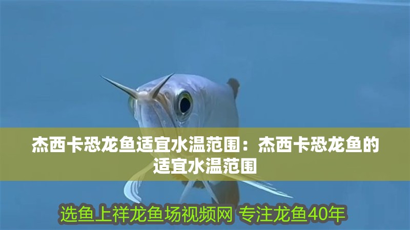 杰西卡恐龍魚適宜水溫范圍：杰西卡恐龍魚的適宜水溫范圍