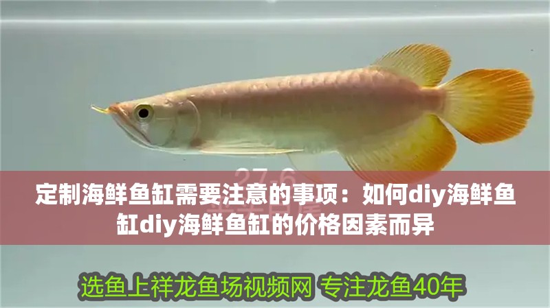 定制海鮮魚缸需要注意的事項：如何diy海鮮魚缸diy海鮮魚缸的價格因素而異
