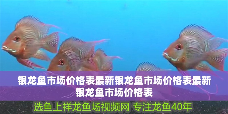 銀龍魚市場價格表最新銀龍魚市場價格表最新銀龍魚市場價格表
