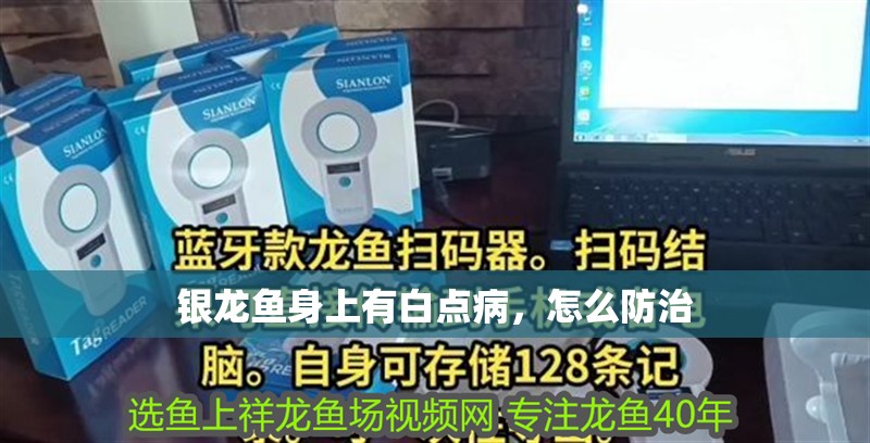 銀龍魚身上有白點病，怎么防治