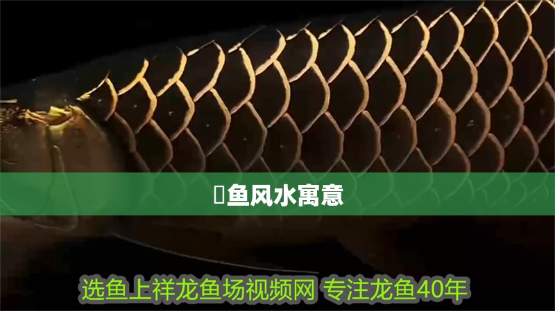 魟魚風水寓意