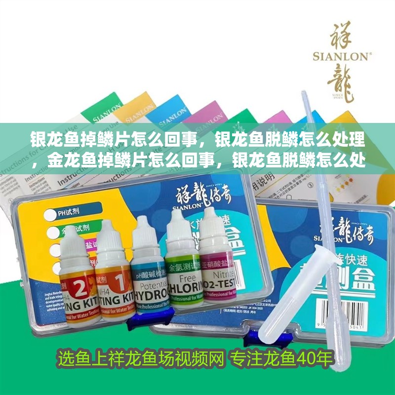 銀龍魚掉鱗片怎么回事，銀龍魚脫鱗怎么處理，金龍魚掉鱗片怎么回事，銀龍魚脫鱗怎么處理