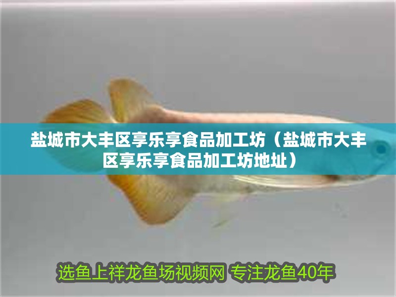 鹽城市大豐區享樂享食品加工坊（鹽城市大豐區享樂享食品加工坊地址）