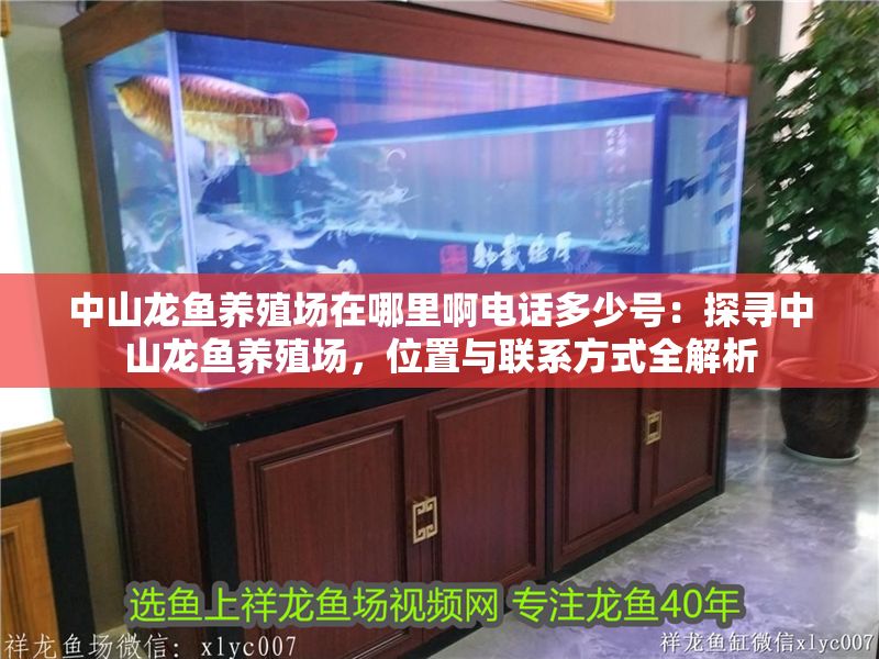 <strong><mark>中山</mark></strong>龍魚養殖場在哪里啊電話多少號：探尋<strong><mark>中山</mark></strong>龍魚養殖場，位置與聯系方式全解析