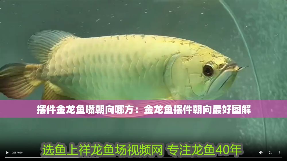擺件金龍魚嘴朝向哪方：金龍魚擺件朝向最好圖解
