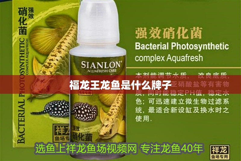 福龍王龍魚是什么牌子