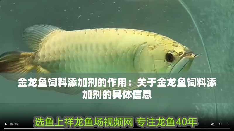 金龍魚飼料添加劑的作用:關于金龍魚飼料添加劑的具體信息 金龍魚百科 第2張 金龍魚飼料添加劑的作用:關于金龍魚飼料添加劑的具體信息 金龍魚飼料添加劑的作用:關于金龍魚飼料添加劑的具體信息 金龍魚百科 第2張