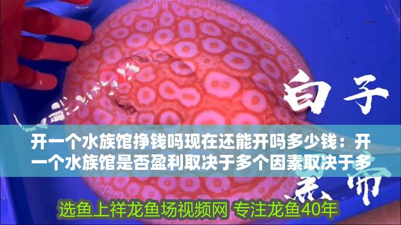開一個水族館掙錢嗎現在還能開嗎多少錢：開一個水族館是否盈利取決于多個因素取決于多個因素