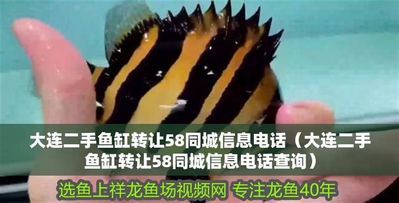 大連二手魚缸轉(zhuǎn)讓58同城信息電話（大連二手魚缸轉(zhuǎn)讓58同城信息電話查詢）