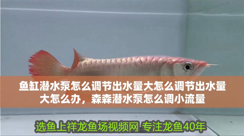 魚缸潛水泵怎么調節出水量大怎么調節出水量大怎么辦，森森潛水泵怎么調小流量