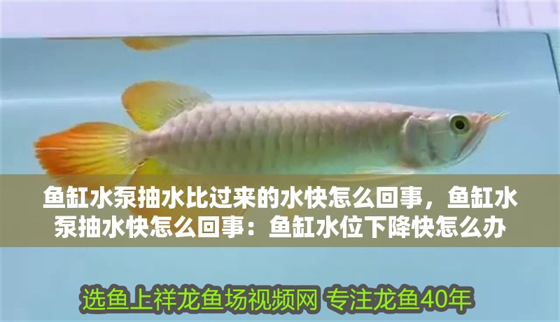 魚缸水泵抽水比過來的水快怎么回事，魚缸水泵抽水快怎么回事：魚缸水位下降快怎么辦