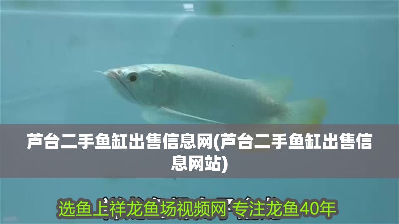 蘆臺(tái)二手魚缸出售信息網(wǎng)(蘆臺(tái)二手魚缸出售信息網(wǎng)站)
