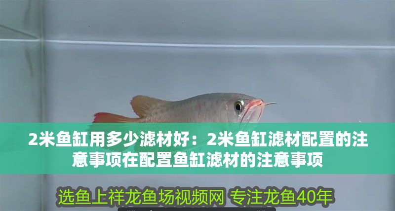 2米魚缸用多少濾材好：2米魚缸濾材配置的注意事項在配置魚缸濾材的注意事項
