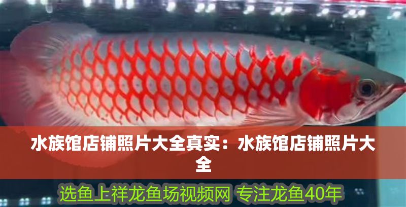 水族館店鋪照片大全真實(shí)：水族館店鋪照片大全
