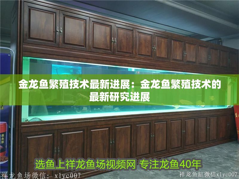 金龍魚繁殖技術(shù)最新進(jìn)展：金龍魚繁殖技術(shù)的最新研究進(jìn)展