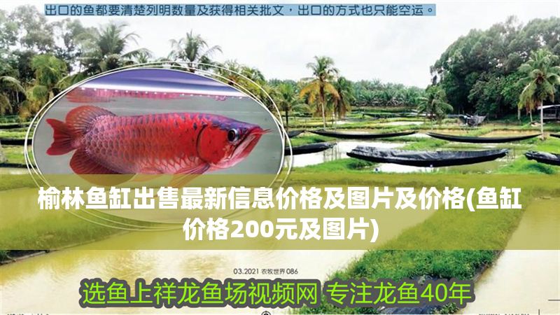 榆林魚缸出售最新信息價格及圖片及價格(魚缸價格200元及圖片)