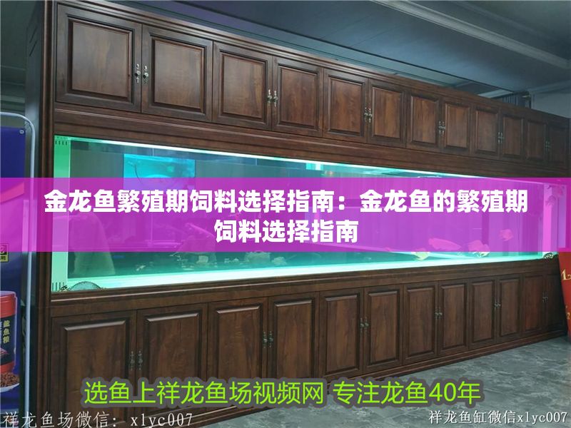 金龍魚(yú)繁殖期飼料選擇指南：金龍魚(yú)的繁殖期飼料選擇指南