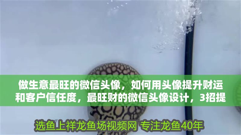 做生意最旺的微信頭像，如何用頭像提升財運和客戶信任度，最旺財?shù)奈⑿蓬^像設計，3招提升財運與客戶信任度