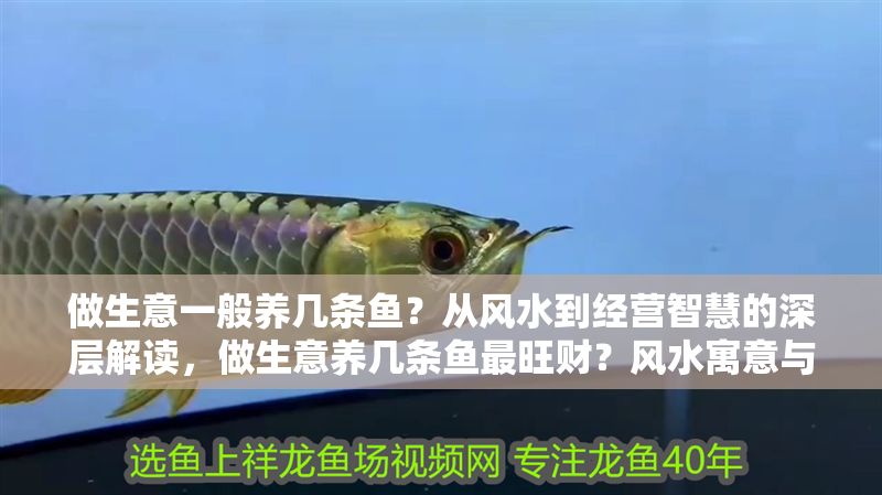 做生意一般養幾條魚？從風水到經營智慧的深層解讀，做生意養幾條魚最旺財？風水寓意與經營策略全解析