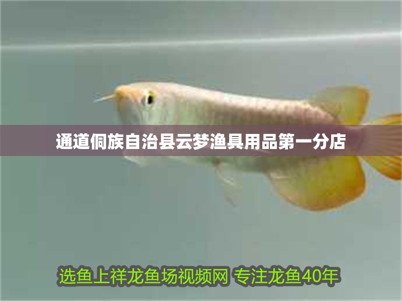 魚缸用增氧泵價格是多少:魚缸增氧機-xtrac增氧機-xtrac增氧機 通道侗族自治縣云夢漁具用品第一分店 全國水族館企業名錄 通道侗族自治縣云夢漁具用品第一分店 通道侗族自治縣云夢漁具用品第一分店 全國水族館企業名錄