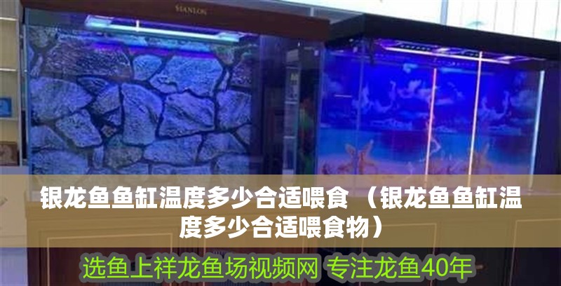 銀龍魚魚缸溫度多少合適喂食 （銀龍魚魚缸溫度多少合適喂食物）