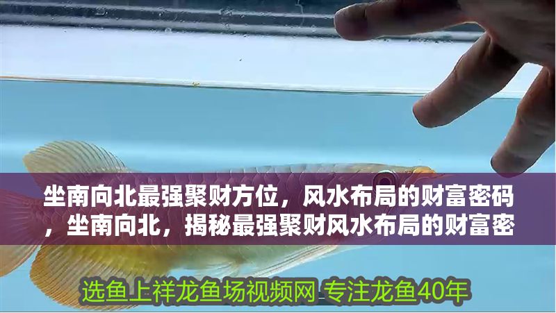 坐南向北最強聚財方位，風水布局的財富密碼，坐南向北，揭秘最強聚財風水布局的財富密碼