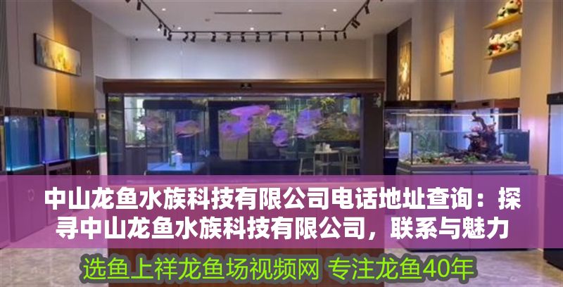 中山龍魚水族科技有限公司電話地址查詢：探尋中山龍魚水族科技有限公司，聯(lián)系與魅力
