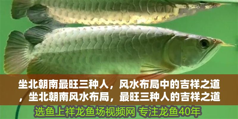 坐北朝南最旺三種人，風水布局中的吉祥之道，坐北朝南風水布局，最旺三種人的吉祥之道