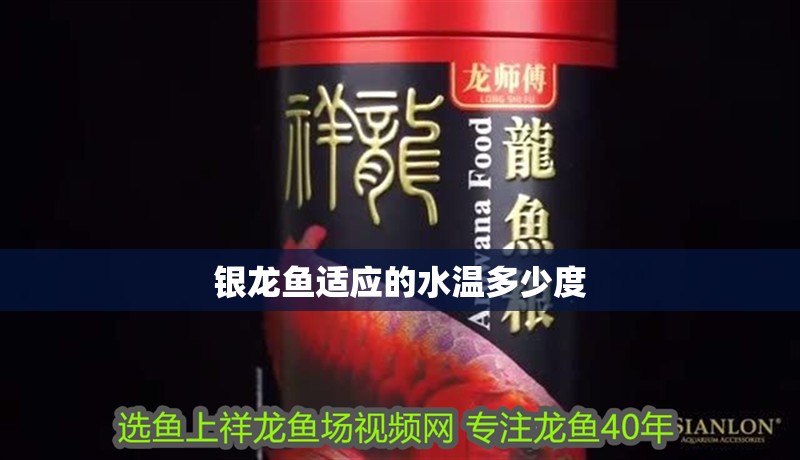 銀龍魚適應(yīng)的水溫多少度