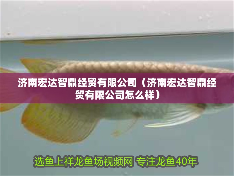 濟(jì)南宏達(dá)智鼎經(jīng)貿(mào)有限公司（濟(jì)南宏達(dá)智鼎經(jīng)貿(mào)有限公司怎么樣）