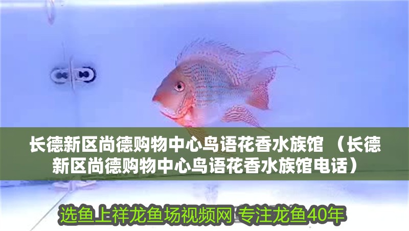 長德新區(qū)尚德購物中心鳥語花香水族館 （長德新區(qū)尚德購物中心鳥語花香水族館電話）