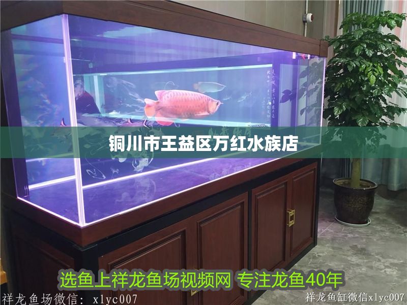 銅川市王益區萬紅水族店