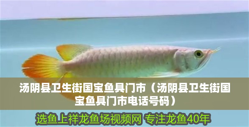 湯陰縣衛生街國寶魚具門市（湯陰縣衛生街國寶魚具門市電話號碼）