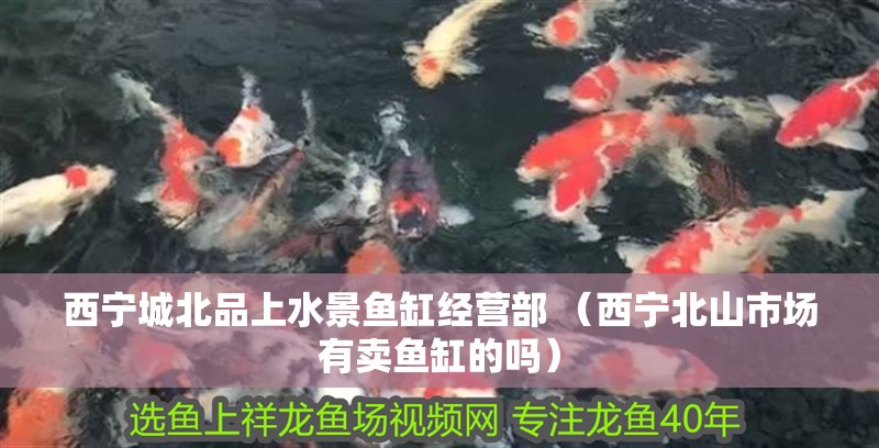 西寧<strong><mark>城北</mark></strong>品上水景魚缸經營部 （西寧北山市場有賣魚缸的嗎）