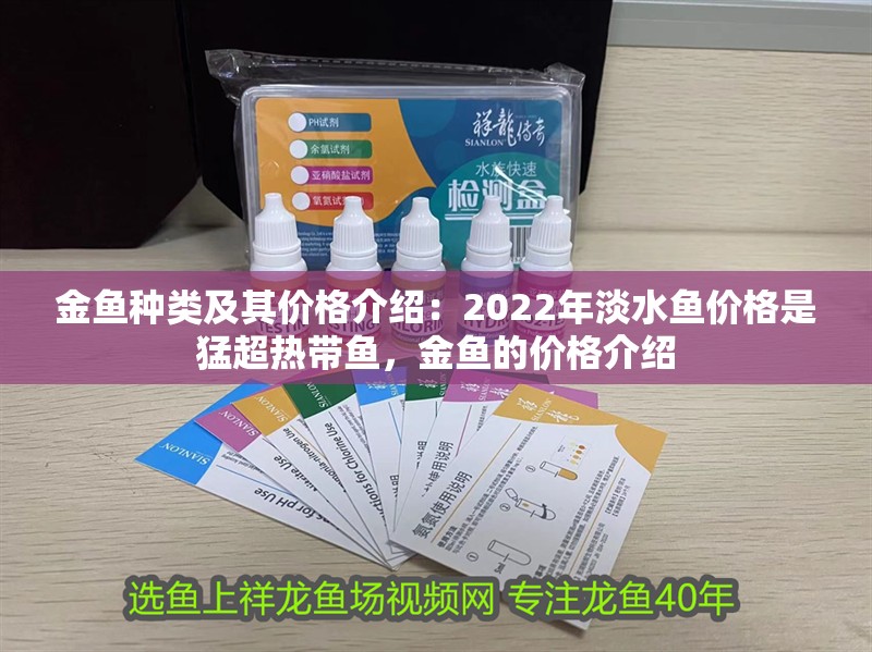 金魚種類及其價格介紹：2022年淡水魚價格是猛超熱帶魚，金魚的價格介紹