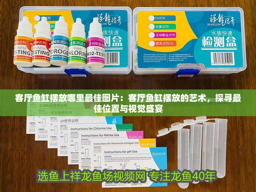 客廳魚缸擺放哪里最佳圖片：客廳魚缸擺放的藝術，探尋最佳位置與視覺盛宴