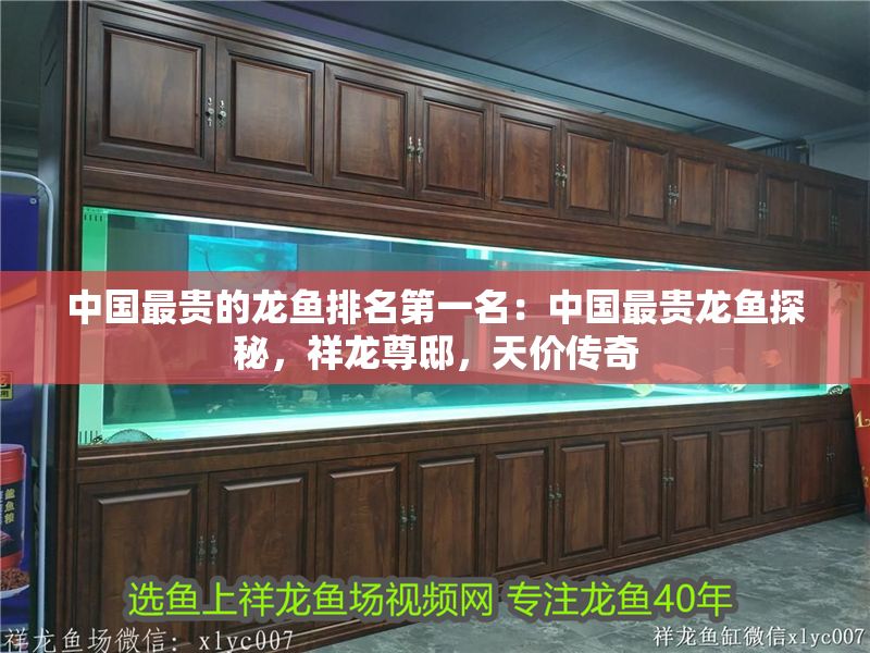 中國最貴的龍魚排名第一名：中國最貴龍魚探秘，祥龍尊邸，天價傳奇